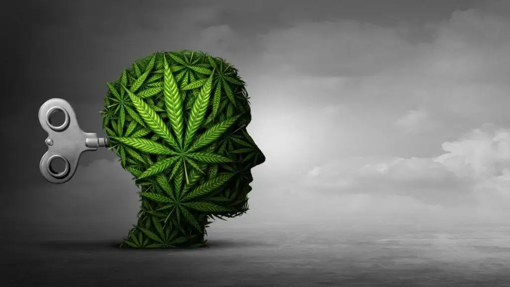 Cannabis Addiction