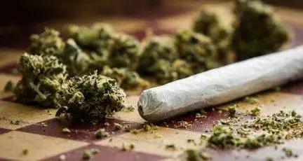 Not a Marijuana Sister Pic